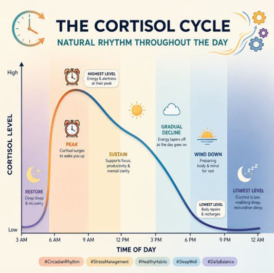 Graph showing the change in Cortisol Throughout the day