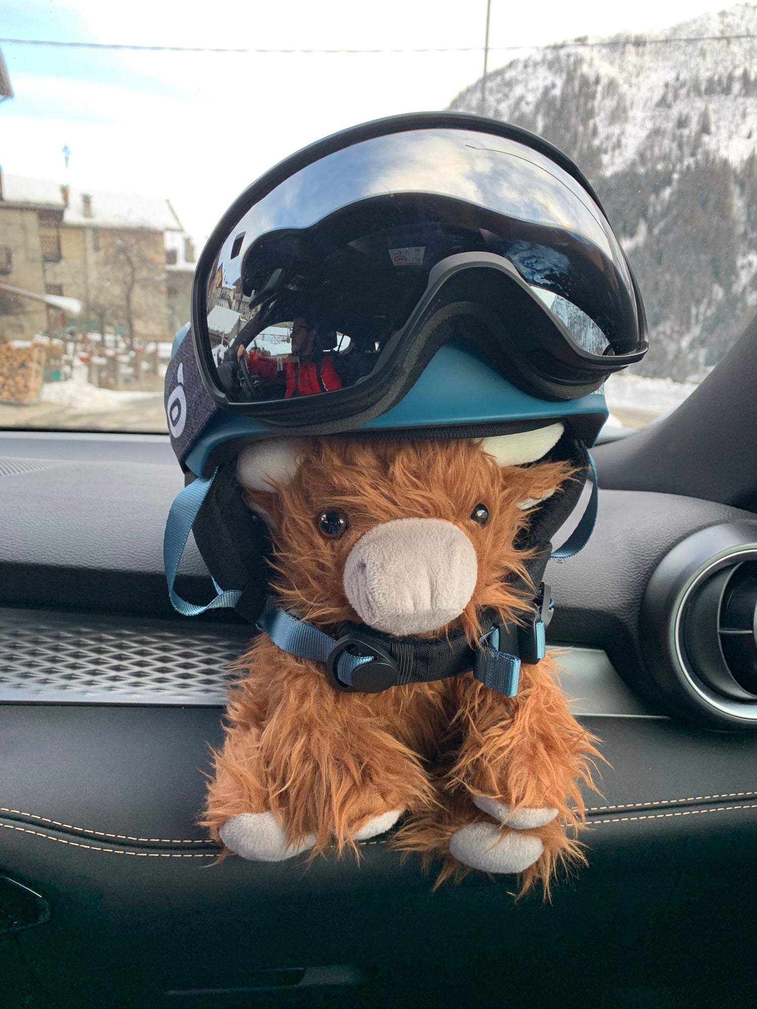 Hazel the weighted highland cow cuddly toy on her way to go skiing wearing a helmet. 