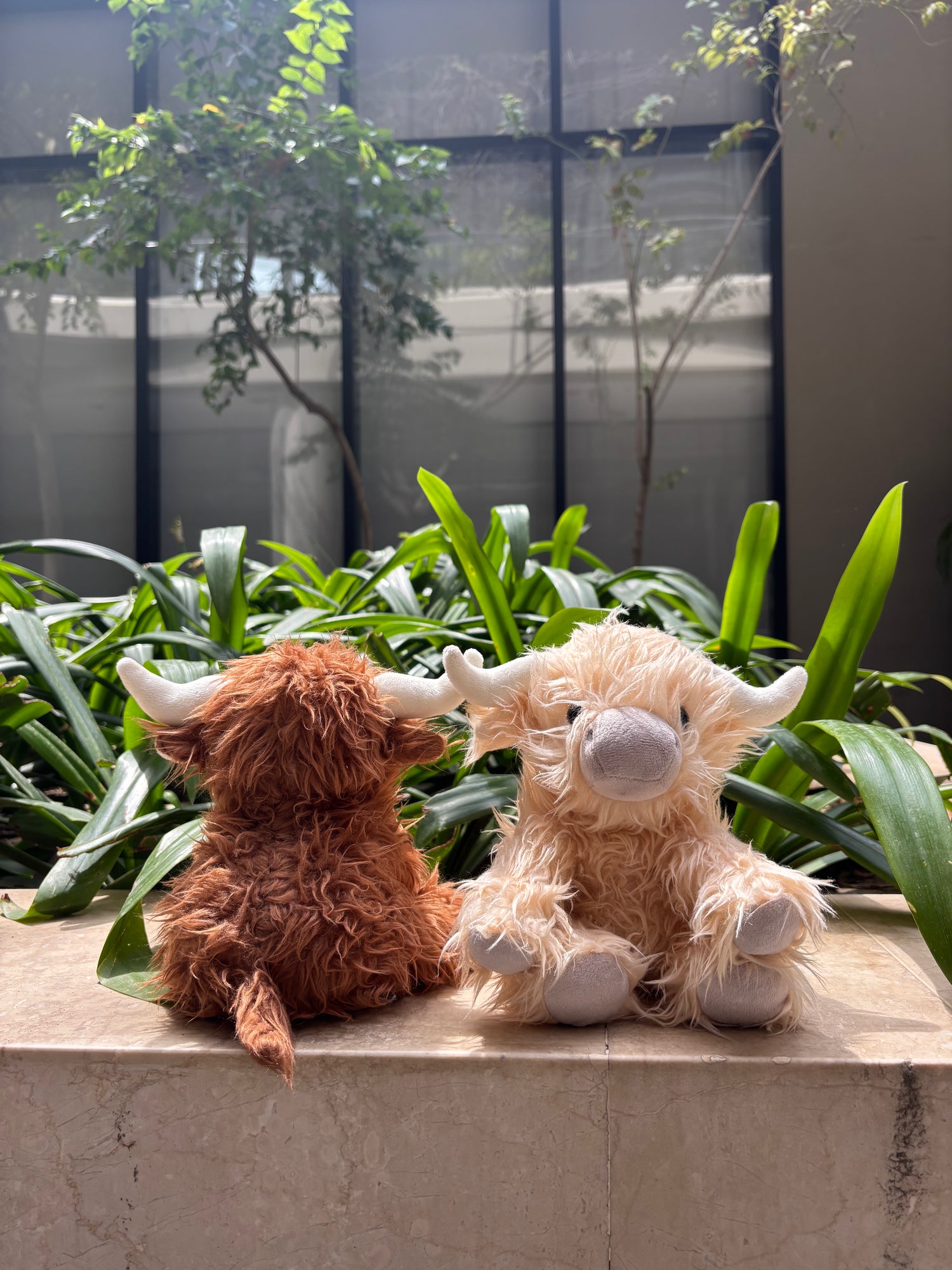 McCuddles weighted highland cow teddies sitting outside. 