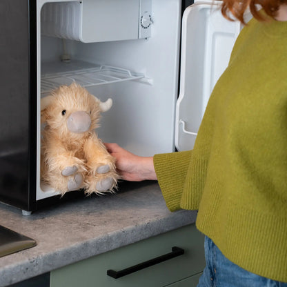 Cooled plush toy for hot flushes
